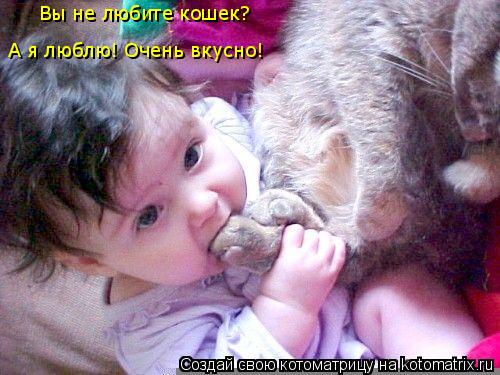 Вы не любите кошек? А я люблю! Очень вкусно!... Котоматрица: Вы не любите кошек? А я люблю! Очень вкусно!