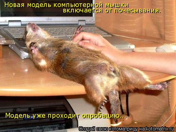 Новая модель компьютерной мышки включается от почесывания. Модель уже проходит опробацию...... Котоматрица: Новая модель компьютерной мышки включается от почесывания. Модель уже проходит опробацию...