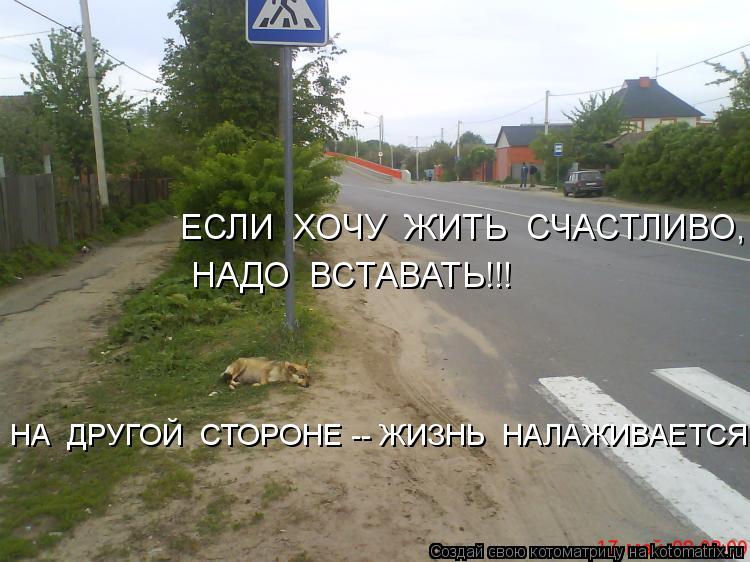 ЕСЛИ ХОЧУ ЖИТЬ СЧАСТЛИВО, НАДО ВСТАВАТЬ!!! НАДО ВСТАВАТЬ!!! НА ДРУГОЙ СТОРОНЕ -- ЖИЗНЬ НА... Котоматрица: ЕСЛИ ХОЧУ ЖИТЬ СЧАСТЛИВО, НАДО ВСТАВАТЬ!!! НАДО ВСТАВАТЬ!!! НА ДРУГОЙ СТОРОНЕ -- ЖИЗНЬ НАЛАЖИВАЕТСЯ!!!