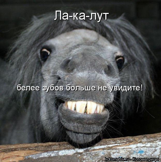 Ла-ка-лут белее зубов больше не увидите!... Котоматрица: Ла-ка-лут белее зубов больше не увидите!