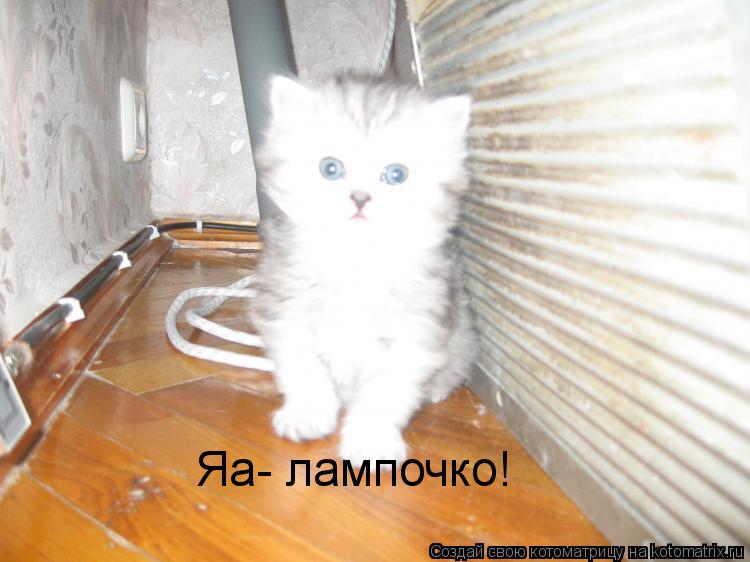 Яа- лампочко!... Котоматрица: Яа- лампочко!