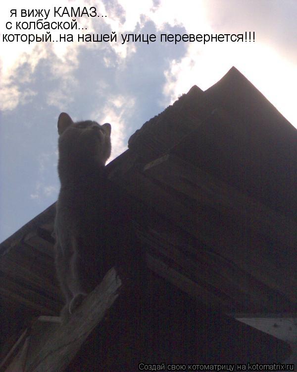 я вижу КАМАЗ... с колбаской... который..на нашей улице перевернется!!!... Котоматрица: я вижу КАМАЗ... с колбаской... который..на нашей улице перевернется!!!