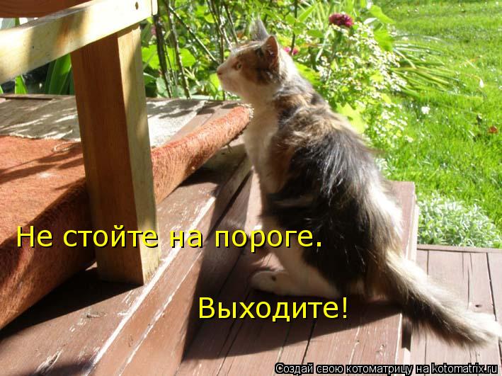 Не стойте на пороге. Выходите!... Котоматрица: Не стойте на пороге. Выходите!