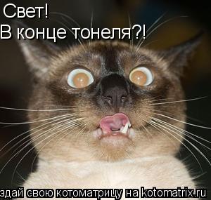 Свет! В конце тонеля?!... Котоматрица: Свет! В конце тонеля?!