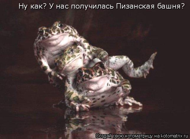 Ну как? У нас получилась Пизанская башня?... Котоматрица: Ну как? У нас получилась Пизанская башня?