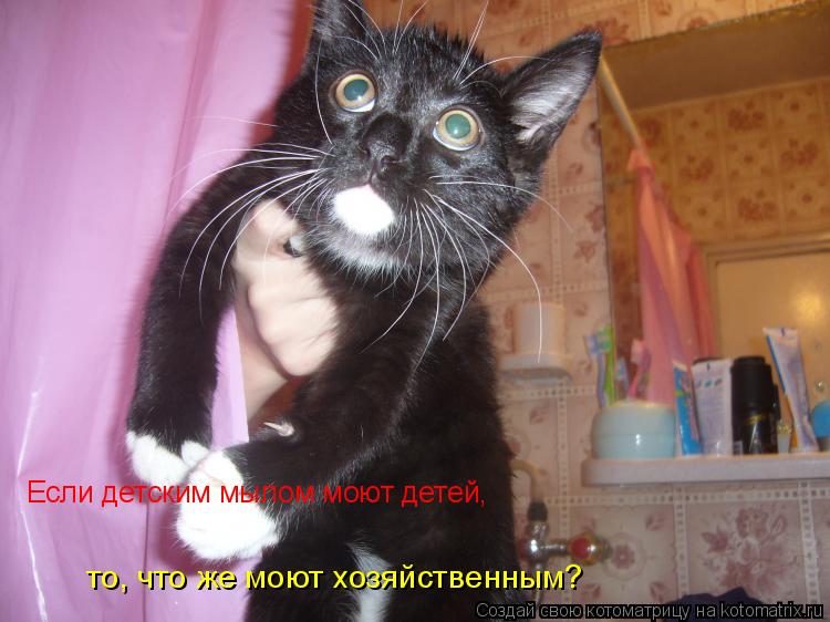 Если детским мылом моют детей, то, что же моют хозяйственным?... Котоматрица: Если детским мылом моют детей, то, что же моют хозяйственным?