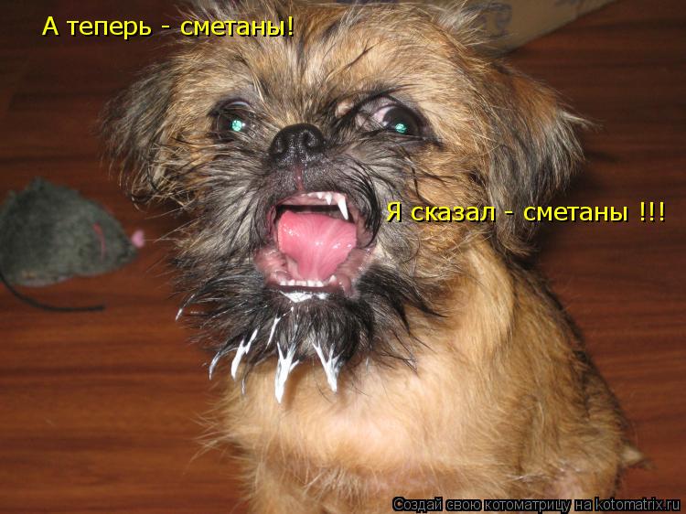 А теперь - сметаны! Я сказал - сметаны !!!... Котоматрица: А теперь - сметаны! Я сказал - сметаны !!!