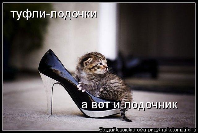 туфли-лодочки а вот и лодочник... Котоматрица: туфли-лодочки а вот и лодочник