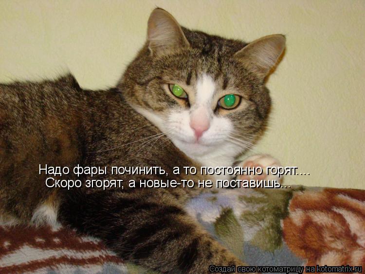 Надо фары починить, а то постоянно горят.... Скоро згорят, а новые-то не поставишь...... Котоматрица: Надо фары починить, а то постоянно горят.... Скоро згорят, а новые-то не поставишь...