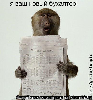 я ваш новый бухалтер!... Котоматрица: я ваш новый бухалтер!