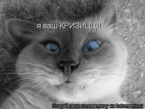 я ваш КРИЗИЦЦ!!... Котоматрица: я ваш КРИЗИЦЦ!!