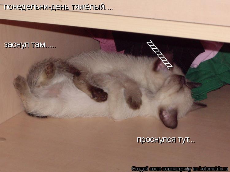 понедельни-день тяжёлый.... заснул там..... проснулся тут... zzzzzzzzz... Котоматрица: понедельни-день тяжёлый.... заснул там..... проснулся тут... zzzzzzzzz