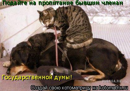 Подайте на пропитание бывшим членам Государственной думы!... Котоматрица: Подайте на пропитание бывшим членам Государственной думы!