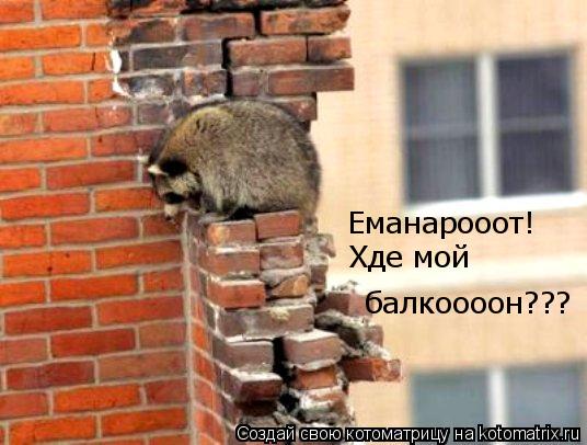 Еманарооот! Хде мой балкоооон???... Котоматрица: Еманарооот! Хде мой балкоооон???