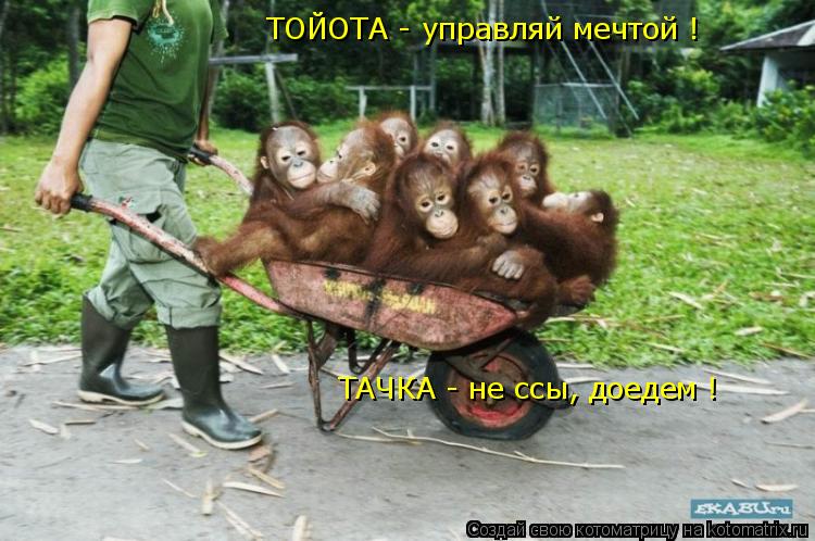 ТОЙОТА - управляй мечтой ! ТАЧКА - не ссы, доедем !... Котоматрица: ТОЙОТА - управляй мечтой ! ТАЧКА - не ссы, доедем !