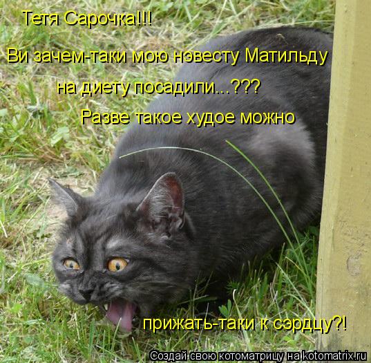 Тетя Сарочка!!! Ви зачем-таки мою нэвесту Матильду на диету посадили...??? Разве такое худое можно п... Котоматрица: Тетя Сарочка!!! Ви зачем-таки мою нэвесту Матильду на диету посадили...??? Разве такое худое можно прижать-таки к сэрдцу?!