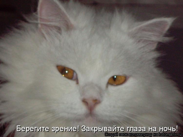 Берегите зрение! Закрывайте глаза на ночь!... Котоматрица: Берегите зрение! Закрывайте глаза на ночь!