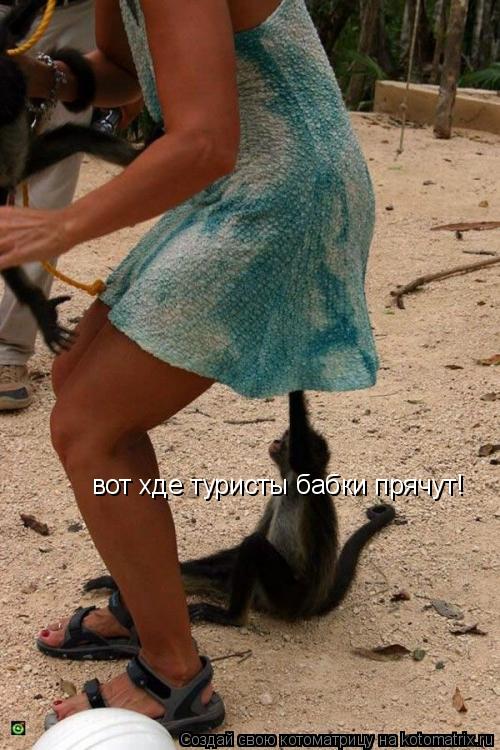 вот хде туристы бабки прячут!... Котоматрица: вот хде туристы бабки прячут!
