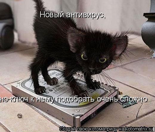 Новый антивирус, но ключ к нему подобрать очень сложно... Котоматрица: Новый антивирус, но ключ к нему подобрать очень сложно