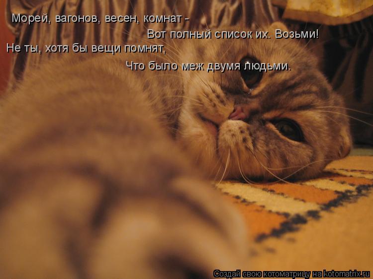 Морей, вагонов, весен, комнат - Вот полный список их. Возьми! Не ты, хотя бы вещи помнят, Что было... Котоматрица: Морей, вагонов, весен, комнат - Вот полный список их. Возьми! Не ты, хотя бы вещи помнят, Что было меж двумя людьми.