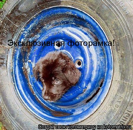 Эксклюзивная фоторамка!... Котоматрица: Эксклюзивная фоторамка!