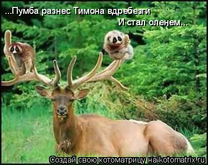 ...Пумба разнес Тимона вдребезги И стал оленем...... Котоматрица: ...Пумба разнес Тимона вдребезги И стал оленем...