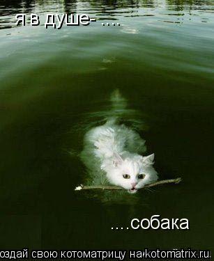 я в душе- .... ....собака... Котоматрица: я в душе- .... ....собака