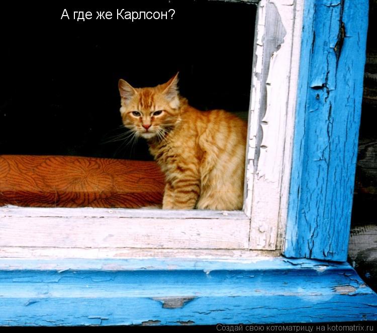 А где же Карлсон?... Котоматрица: А где же Карлсон?