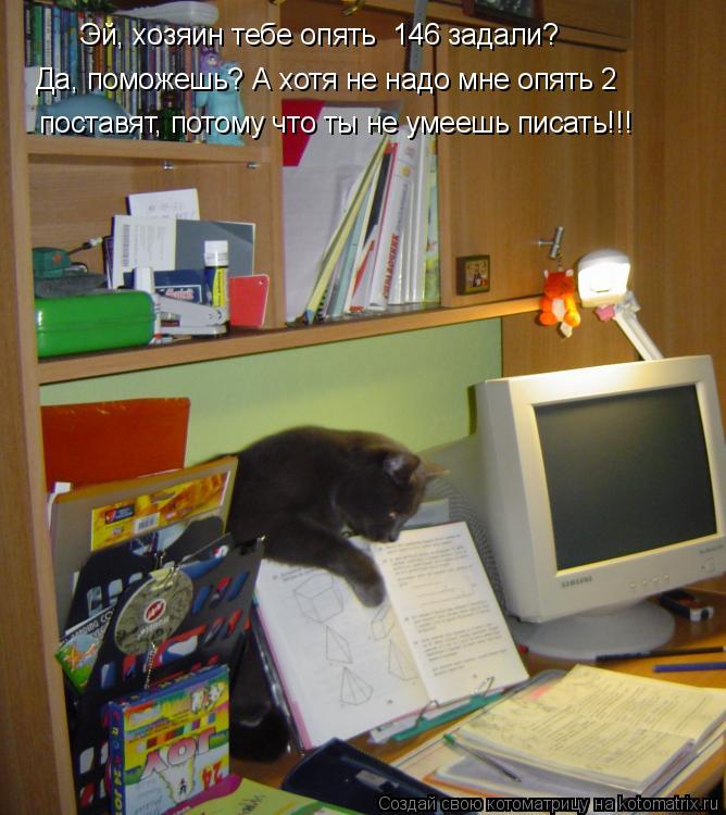 Эй, хозяин тебе опять №146 задали? Да, поможешь? А хотя не надо мне опять 2 поставят, потому что ты ... Котоматрица: Эй, хозяин тебе опять №146 задали? Да, поможешь? А хотя не надо мне опять 2 поставят, потому что ты не умеешь писать!!!