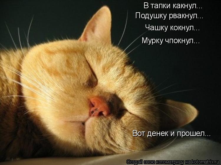 В тапки какнул... Подушку рвакнул... Чашку кокнул... Мурку чпокнул... Вот денек и прошел...... Котоматрица: В тапки какнул... Подушку рвакнул... Чашку кокнул... Мурку чпокнул... Вот денек и прошел...