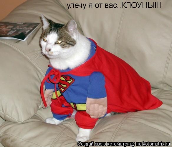 улечу я от вас..КЛОУНЫ!!!... Котоматрица: улечу я от вас..КЛОУНЫ!!!