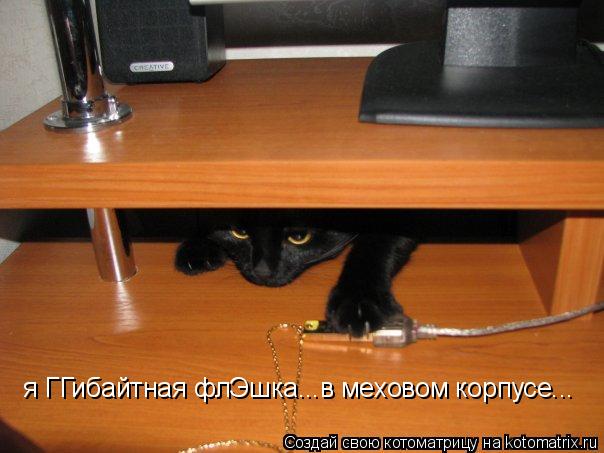я ГГибайтная флЭшка...в меховом корпусе...... Котоматрица: я ГГибайтная флЭшка...в меховом корпусе...