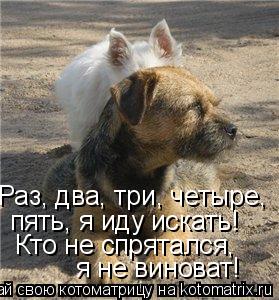Раз, два, три, четыре, пять, я иду искать! Кто не спрятался, я не виноват!... Котоматрица: Раз, два, три, четыре, пять, я иду искать! Кто не спрятался, я не виноват!