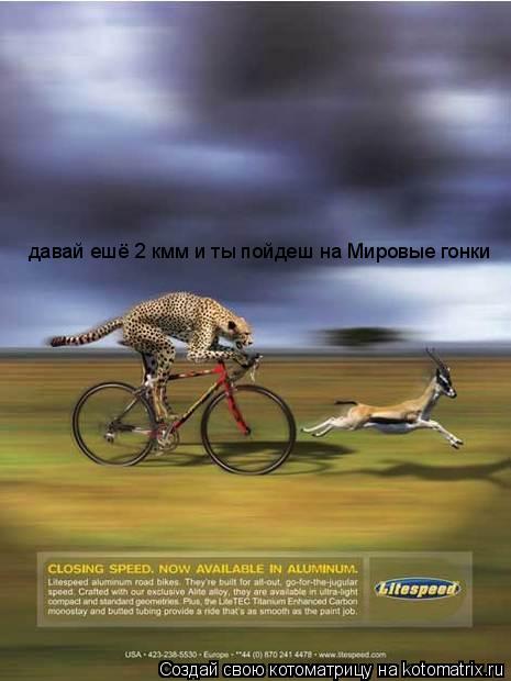 Котоматрица: давай ешё 2 кмм и ты пойдеш на Мировые гонки