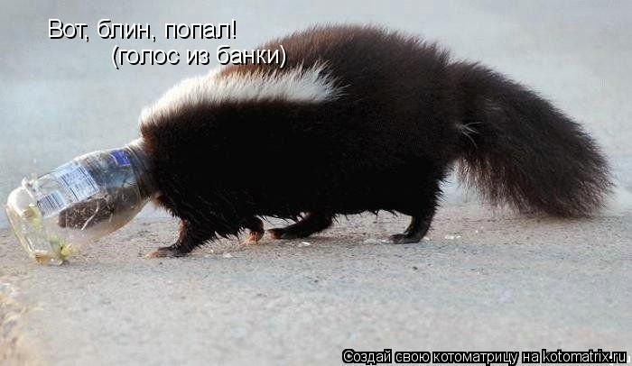 Вот, блин, попал! (голос из банки)... Котоматрица: Вот, блин, попал! (голос из банки)