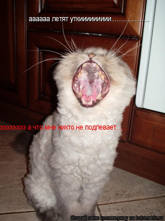 аааааа летят уткиииииииии..................... аааааа летят уткиииииииии..................... эээээээ... Котоматрица: аааааа летят уткиииииииии..................... аааааа летят уткиииииииии..................... ээээээээ а что мне никто не подпевает.......