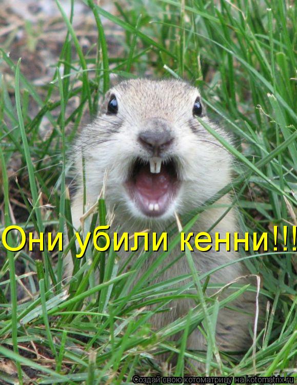 Они убили кенни!!!... Котоматрица: Они убили кенни!!!