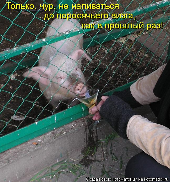 как в прошлый раз! Только, чур, не напиваться до поросячьего визга,... Котоматрица: как в прошлый раз! Только, чур, не напиваться до поросячьего визга,
