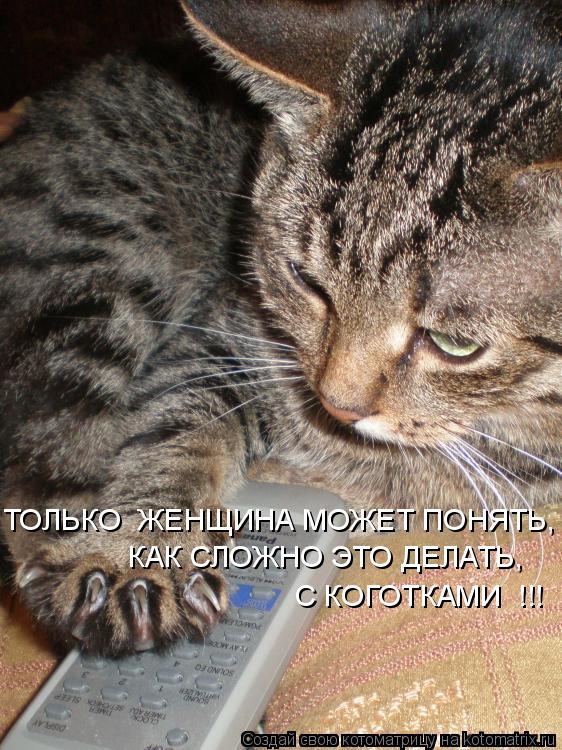ТОЛЬКО ЖЕНЩИНА МОЖЕТ ПОНЯТЬ, КАК СЛОЖНО ЭТО ДЕЛАТЬ, С КОГОТКАМИ !!!... Котоматрица: ТОЛЬКО ЖЕНЩИНА МОЖЕТ ПОНЯТЬ, КАК СЛОЖНО ЭТО ДЕЛАТЬ, С КОГОТКАМИ !!!
