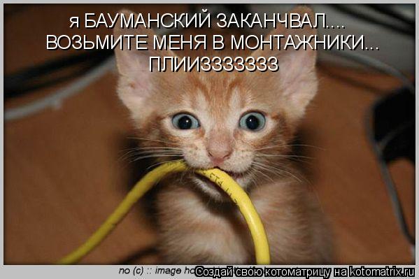 я БАУМАНСКИЙ ЗАКАНЧВАЛ.... ВОЗЬМИТЕ МЕНЯ В МОНТАЖНИКИ... ПЛИИЗЗЗЗЗЗЗ... Котоматрица: я БАУМАНСКИЙ ЗАКАНЧВАЛ.... ВОЗЬМИТЕ МЕНЯ В МОНТАЖНИКИ... ПЛИИЗЗЗЗЗЗЗ
