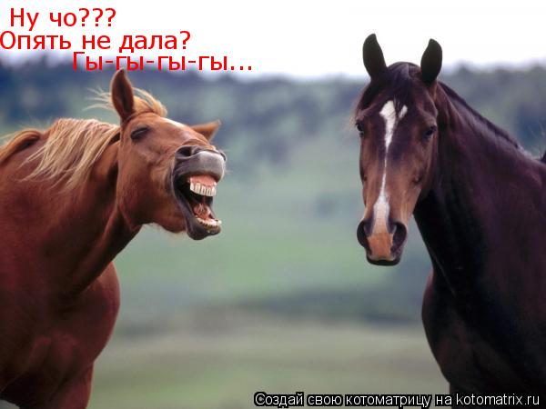 Ну чо??? Опять не дала? Гы-гы-гы-гы...... Котоматрица: Ну чо??? Опять не дала? Гы-гы-гы-гы...