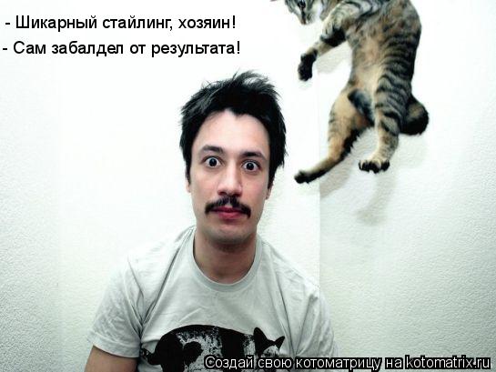 - Шикарный стайлинг, хозяин! - Сам забалдел от результата!... Котоматрица: - Шикарный стайлинг, хозяин! - Сам забалдел от результата!