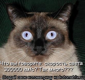 Котоматрица: Что вы говорите: скорость света 300000 км/с? Так много???