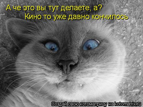 А че это вы тут делаете, а? Кино то уже давно кончилось... Котоматрица: А че это вы тут делаете, а? Кино то уже давно кончилось