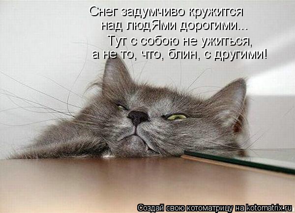 Снег задумчиво кружится над людЯми дорогими... Тут с собою не ужиться, а не то, что, блин, с другими!... Котоматрица: Снег задумчиво кружится над людЯми дорогими... Тут с собою не ужиться, а не то, что, блин, с другими!