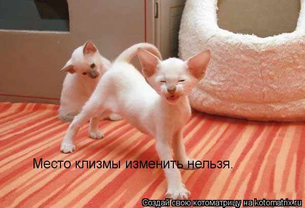 Место клизмы изменить нельзя.... Котоматрица: Место клизмы изменить нельзя.