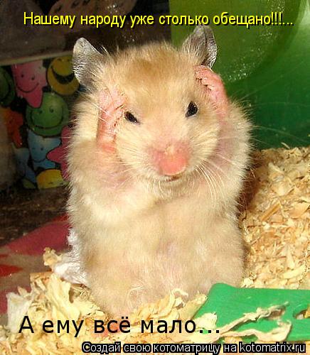 Нашему народу уже столько обещано!!!... А ему всё мало...... Котоматрица: Нашему народу уже столько обещано!!!... А ему всё мало...