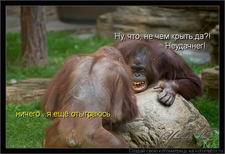 Ну, что, не чем крыть,да?! Неудачнег! ничего...я ещё отыграюсь...... Котоматрица: Ну, что, не чем крыть,да?! Неудачнег! ничего...я ещё отыграюсь...
