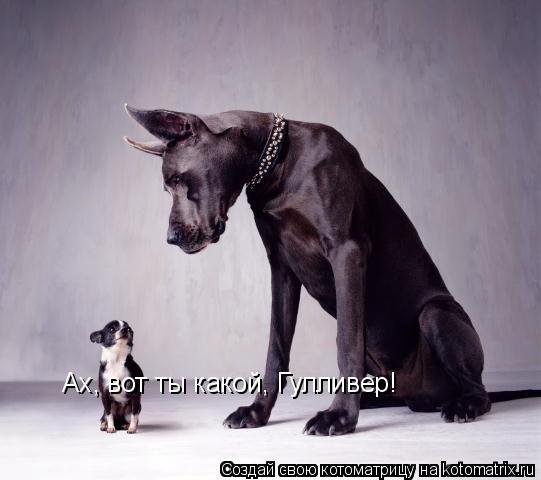 Ах, вот ты какой, Гулливер!... Котоматрица: Ах, вот ты какой, Гулливер!