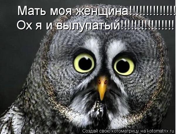 Мать моя женщина!!!!!!!!!!!!!!! Мать моя женщина!!!!!!!!!!!!!!! Мать моя женщина!!!!!!!!!!!!!!! Ох я ... Котоматрица: Мать моя женщина!!!!!!!!!!!!!!! Мать моя женщина!!!!!!!!!!!!!!! Мать моя женщина!!!!!!!!!!!!!!! Ох я и вылупатый!!!!!!!!!!!!!!!! Ох я и вылупатый!!!!!